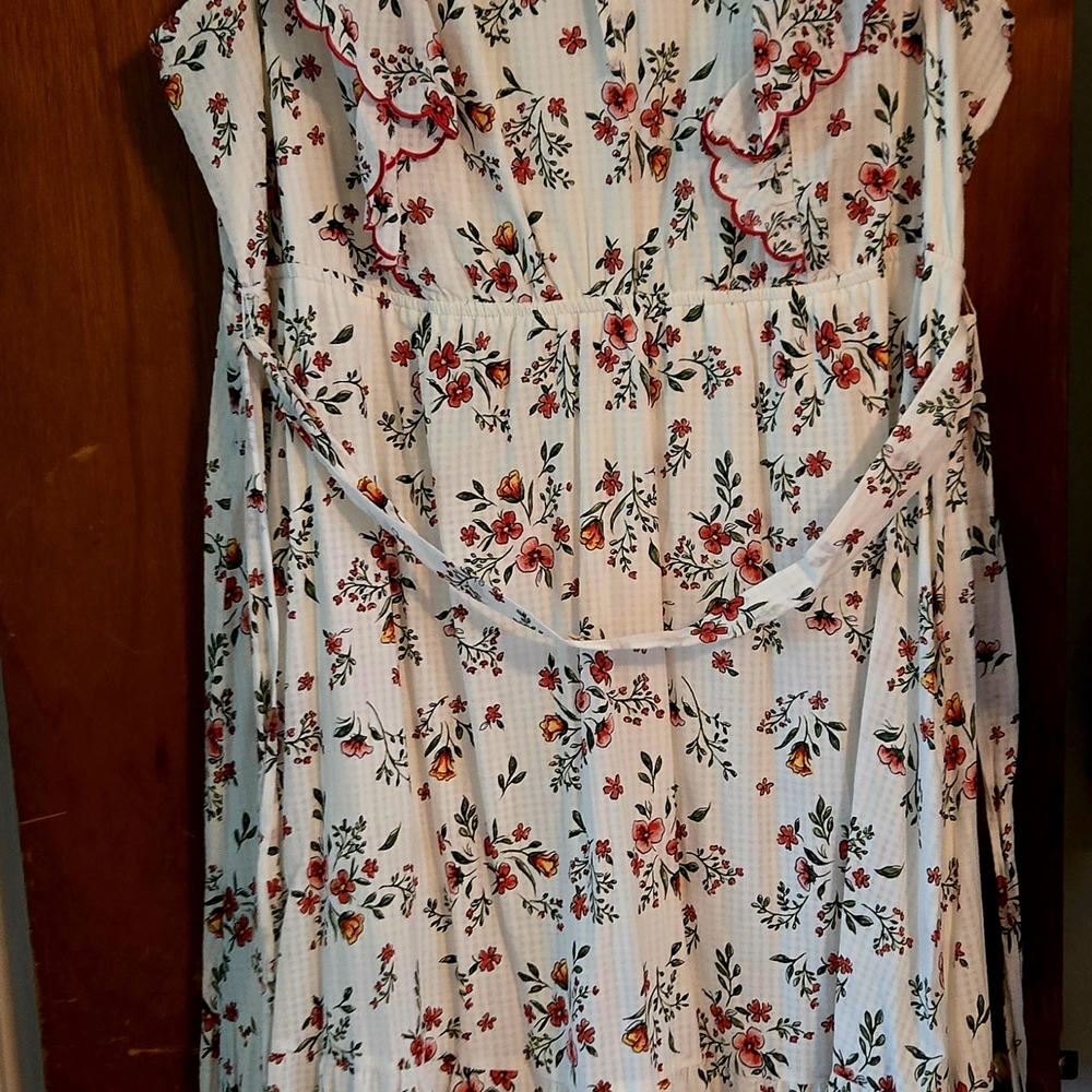 LC Lauren Conrad Floral Maxi Dress - White and Red